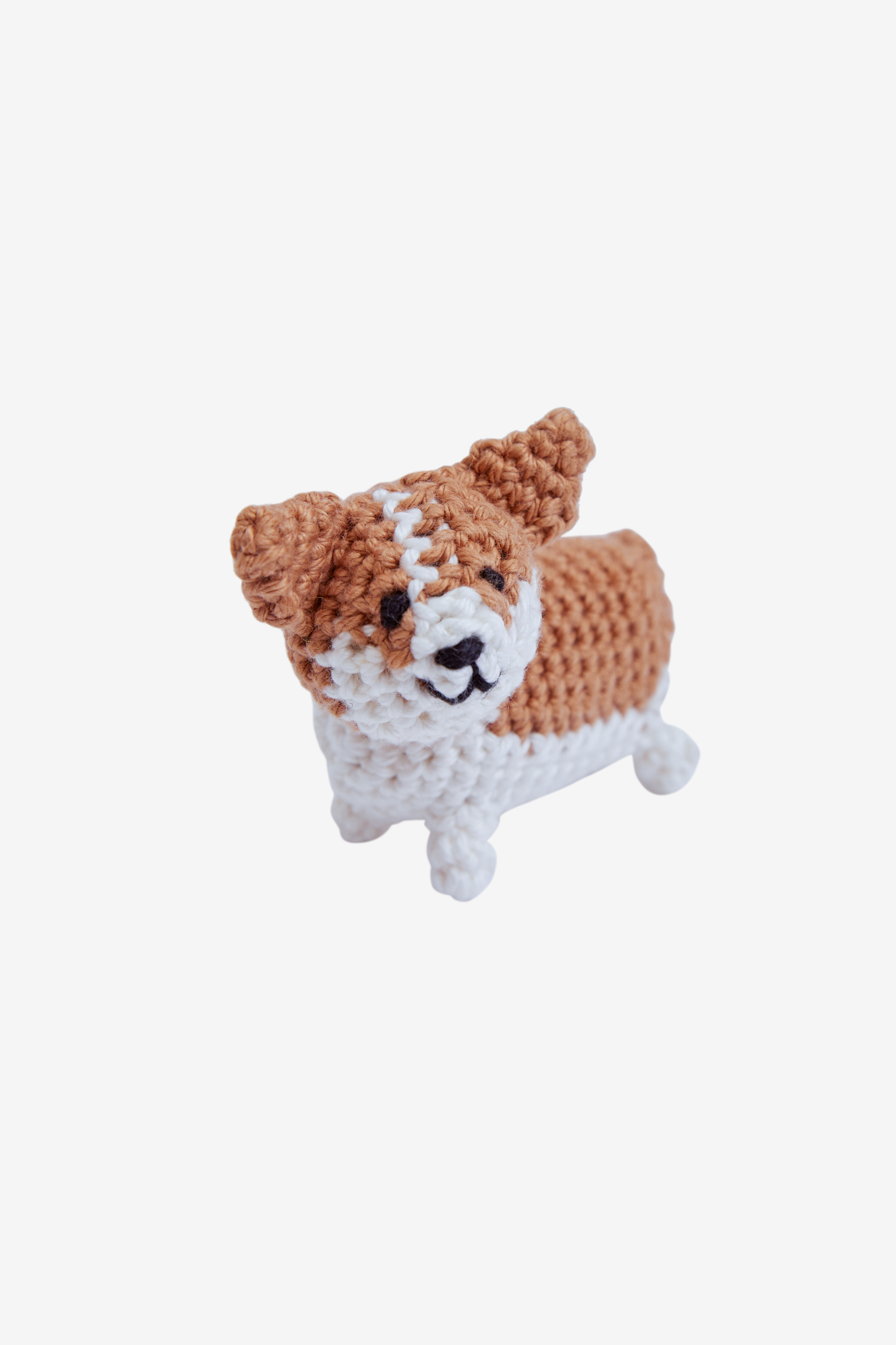 Corgi